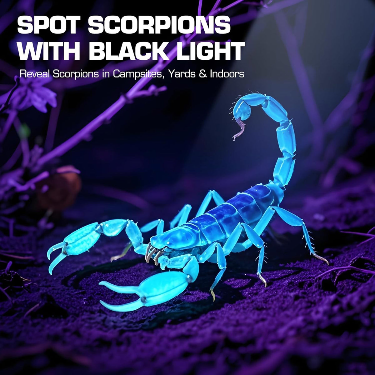 2 Pack UV Blacklight Flashlights 365nm Small Portable LED UV Light
