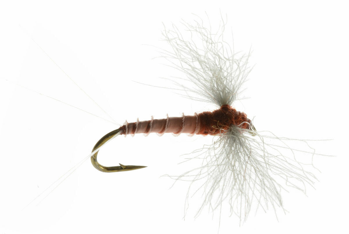 Fly Fishing Flies Set - Rusty Spinner for Bass, Trout, Salmon, Sunfish - 6 Flies