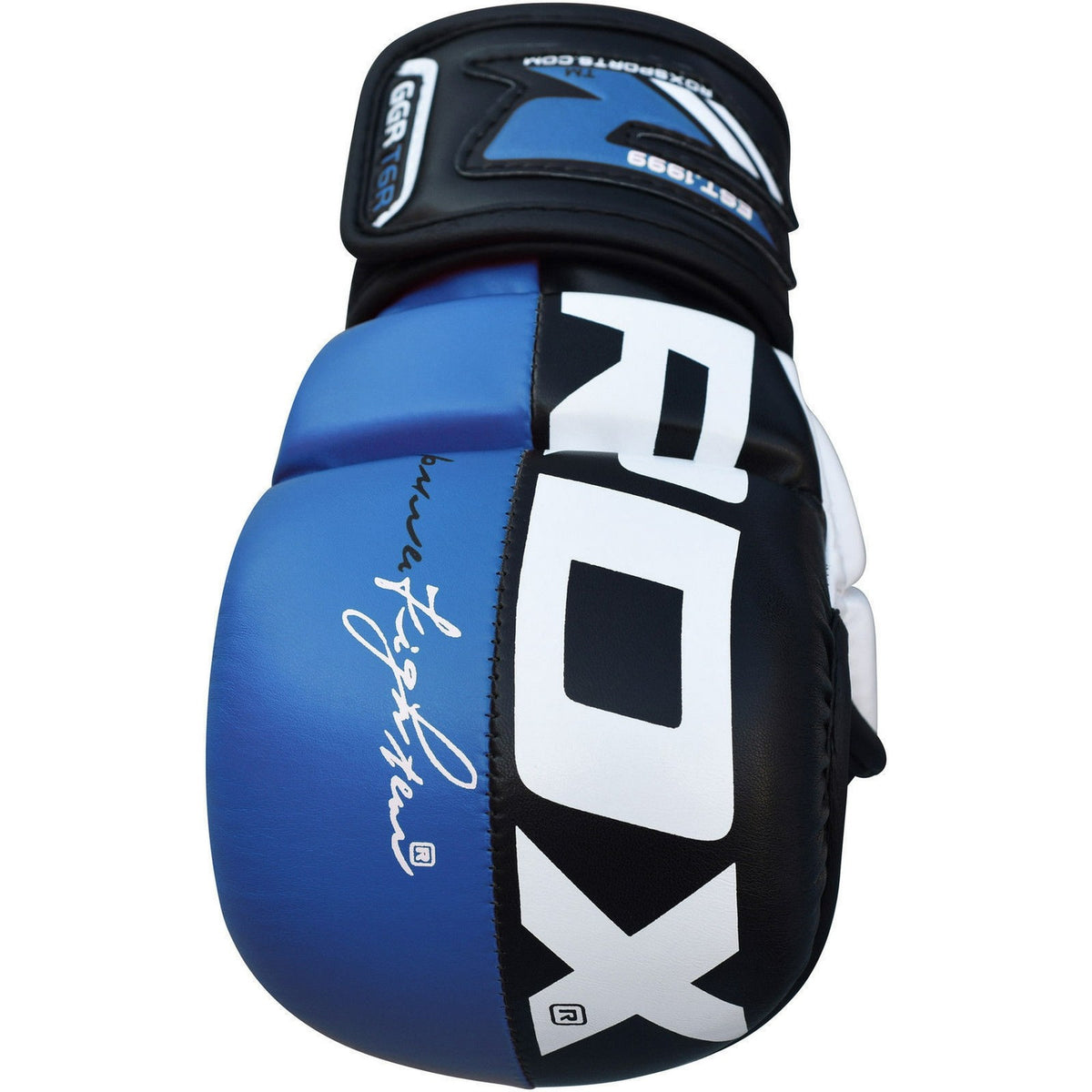 MMA Grappling Gloves for Martial Arts & Sparring Training, Shock Absorbent