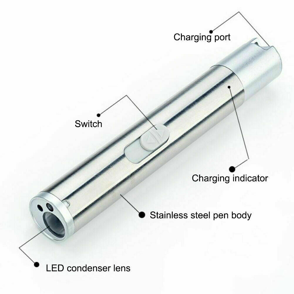 2PCS USB Rechargeable Laser Pointer Pen for Pets and Presentations