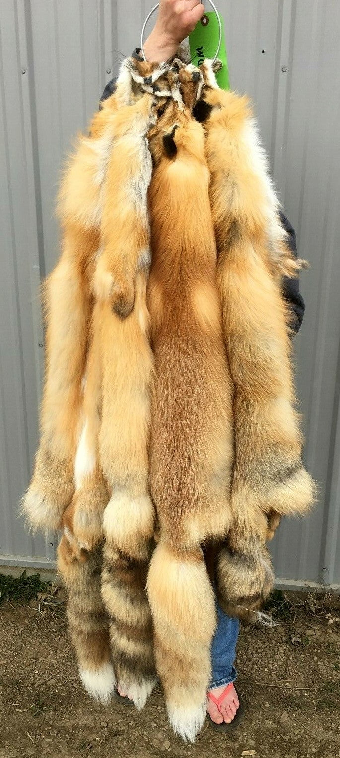 Heavy Red Fox Pelts for Crafts & Decor - Imperfect Grade, Western Region