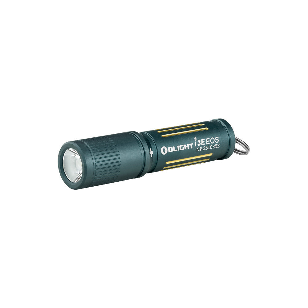 LED Keychain Flashlight Waterproof 90 Lumens for EDC, Blue