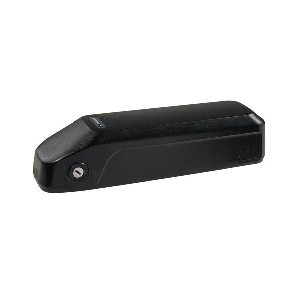 Universal E-Bike Battery Key for RAD Power Bikes - No Cutting Needed