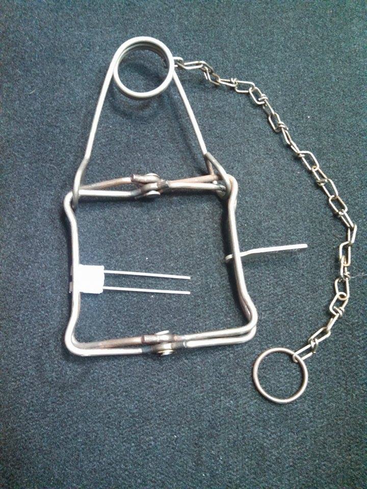 5 Body Grip Traps for Squirrels, Muskrats & Mink - Survival & Water Trapping