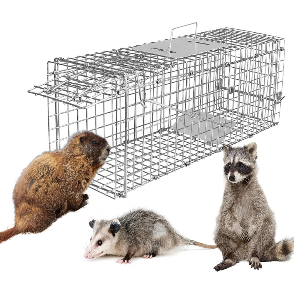 Humane Live Animal Trap Steel Cage for Rodents, Cats, Squirrels, Raccoons
