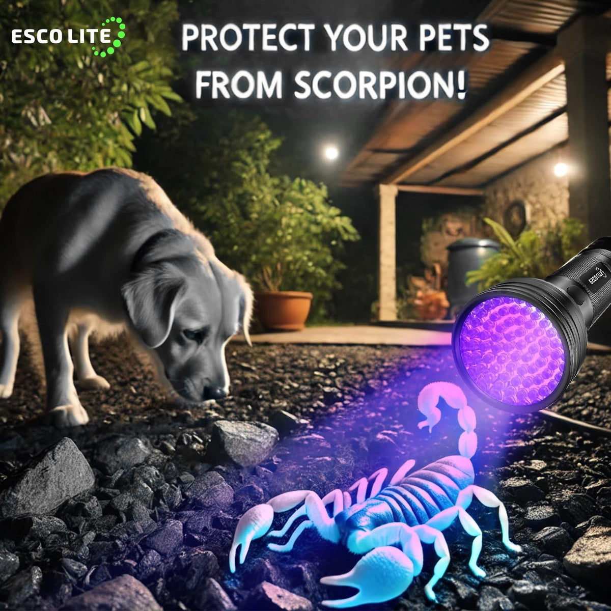 UV Flashlight Black Light with 51 LEDs for Pet Stains Scorpion Detection