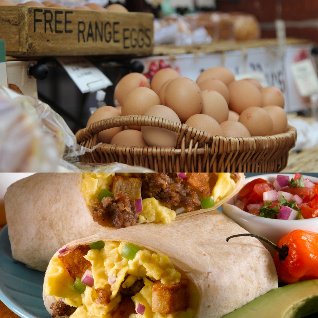 Organic Freeze-Dried Eggs - 12 Servings, Long Shelf Life, Easy Reconstitution