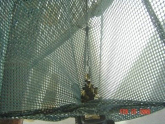 Brass Trap Catcher for Shooting Bench & Offhand Use - Fits Standard Tripods