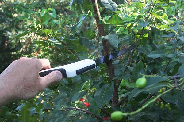 Folding Pruning Saw for Camping Garden & Outdoor Use - Sharp Hand Tool