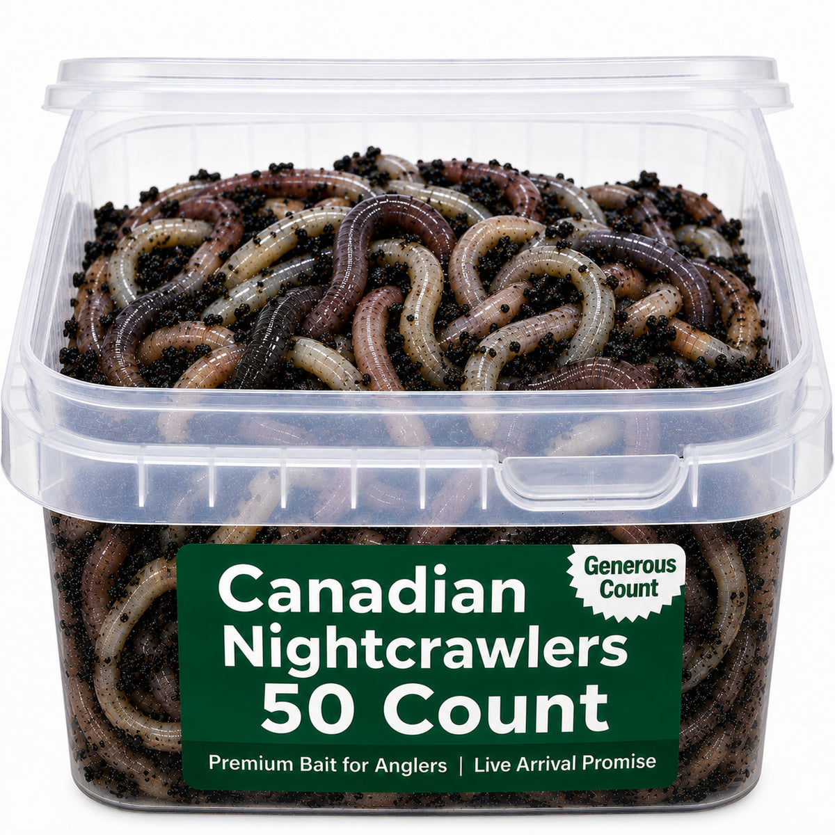Canadian Nightcrawlers Live Bait - Multiple Sizes & Count Options for Fishing & Reptiles