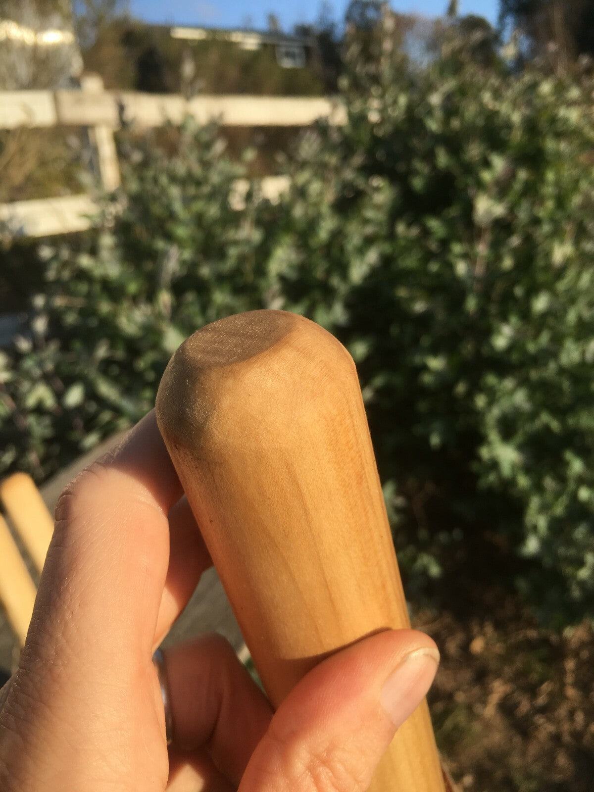 Hand Carved Wooden Hiking Stick with Natural Earth Tones and US Craftsmanship