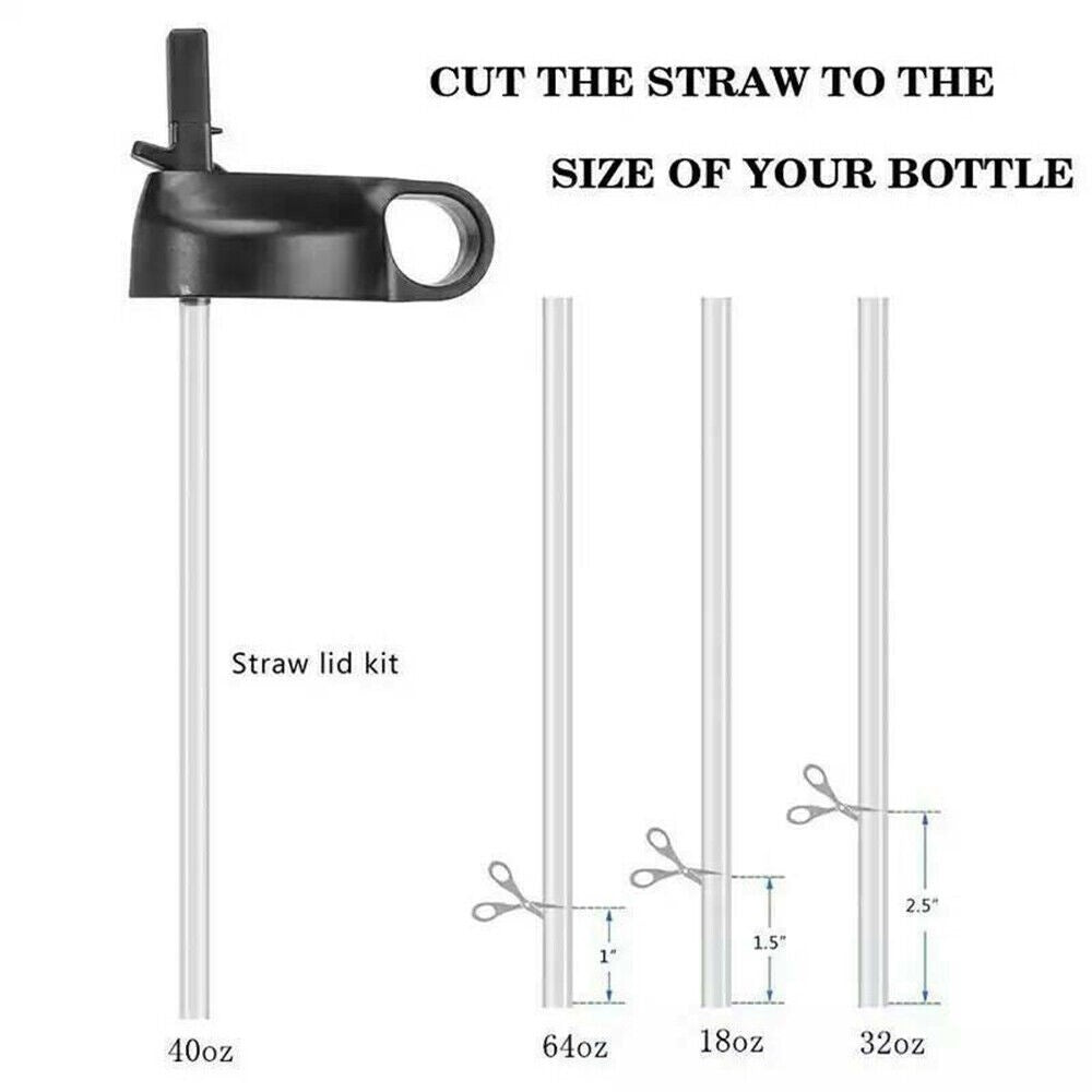 Insulated 32oz Wide Mouth Water Bottle with Straw Lid - Stainless Steel