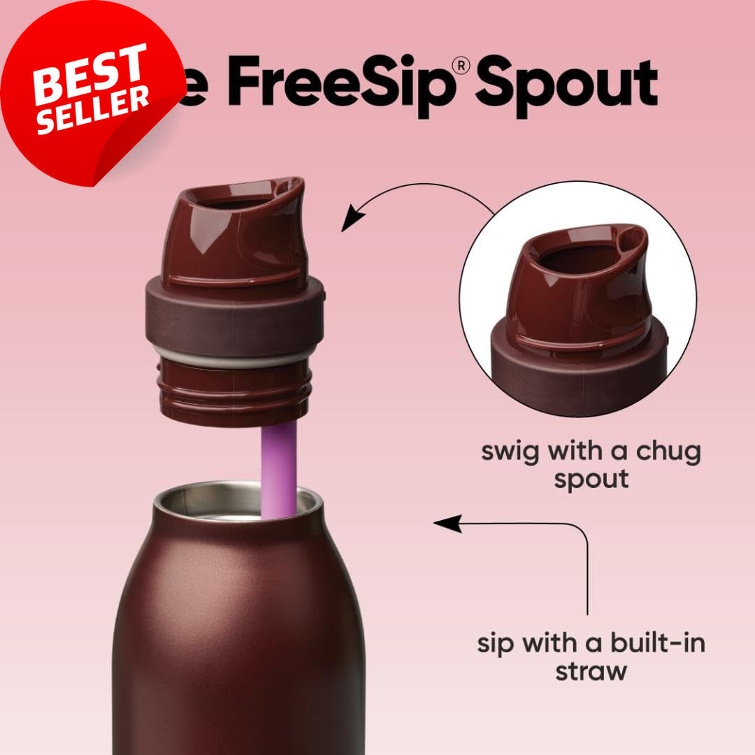 Insulated 24oz Water Bottle with Straw - BPA-Free, Leak-Proof, Black Cherry