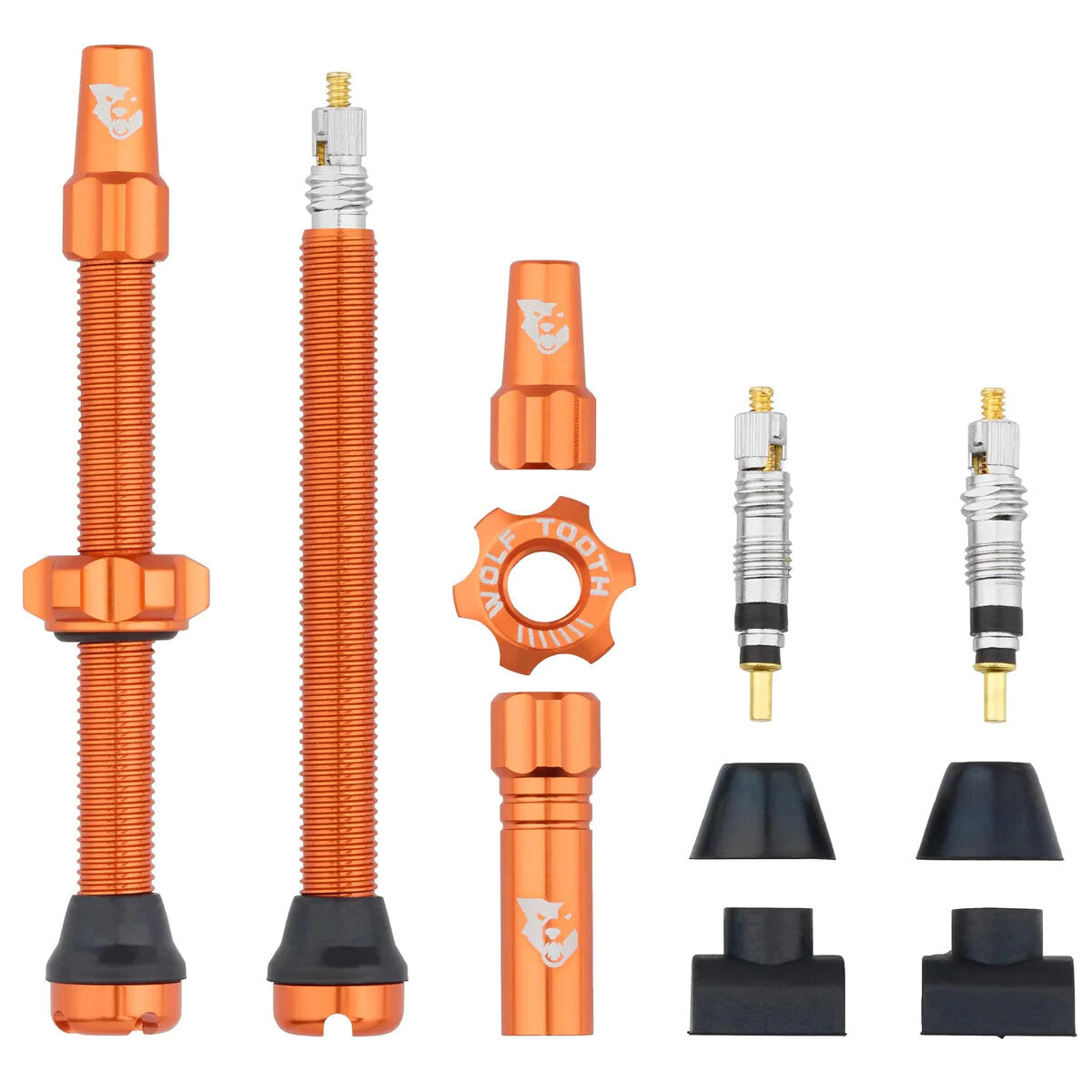 Tubeless Valve Stem Kit for Bicycle - All Sizes & Colors