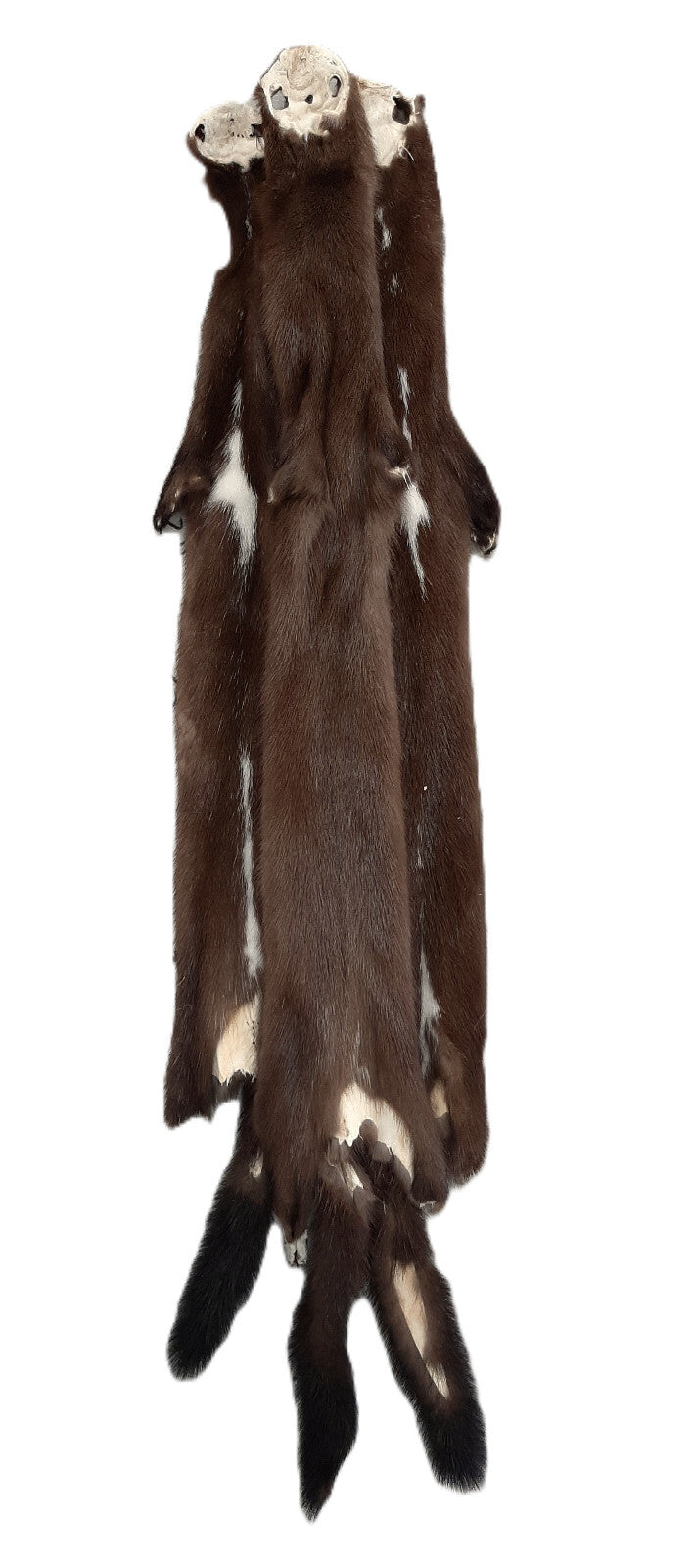 Female Wild Mink Pelt - Soft, Tanned Fur with Multiple Grade Options