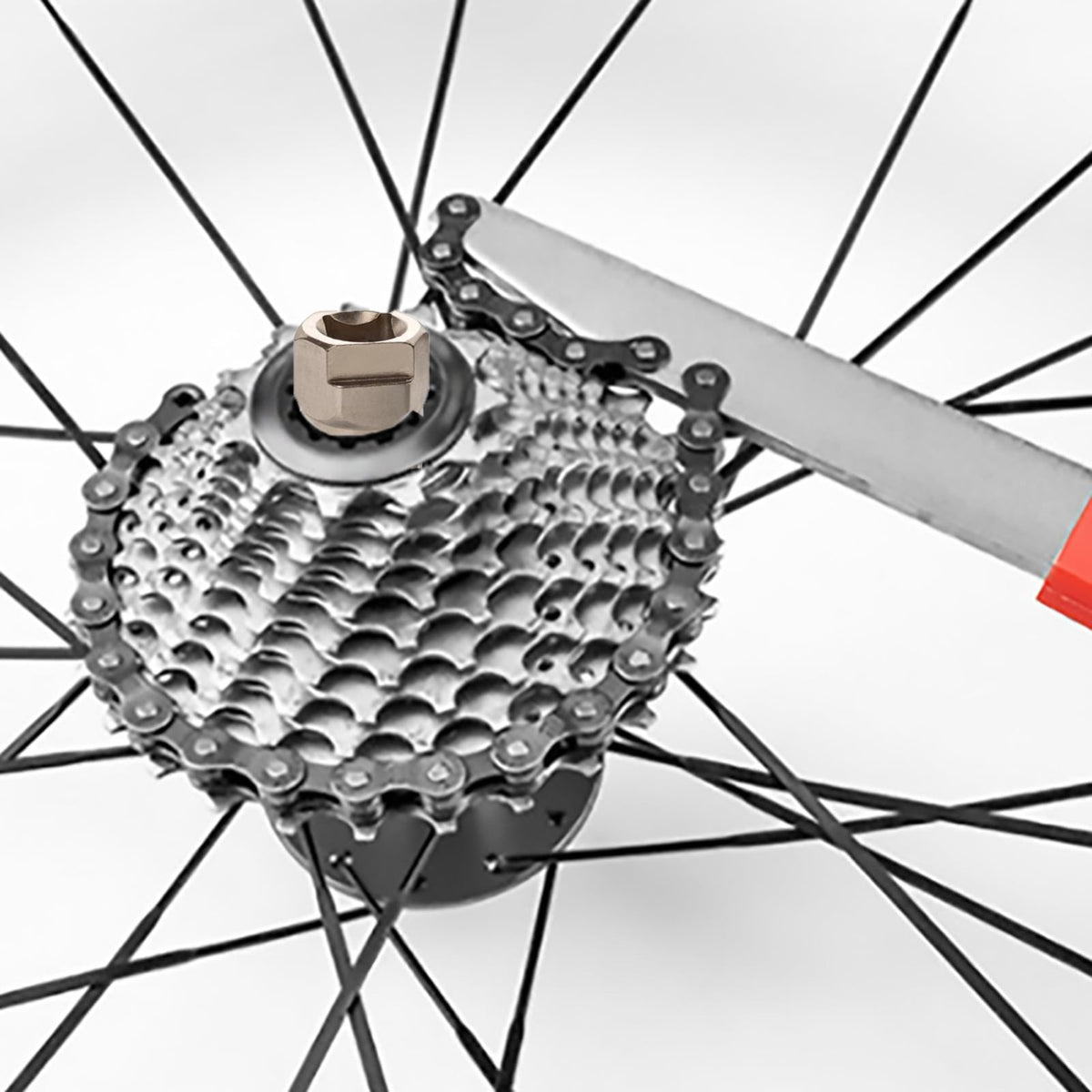 Bike Cassette & Freewheel Removal Tool Kit with Chain Whip for Bicycle Maintenance