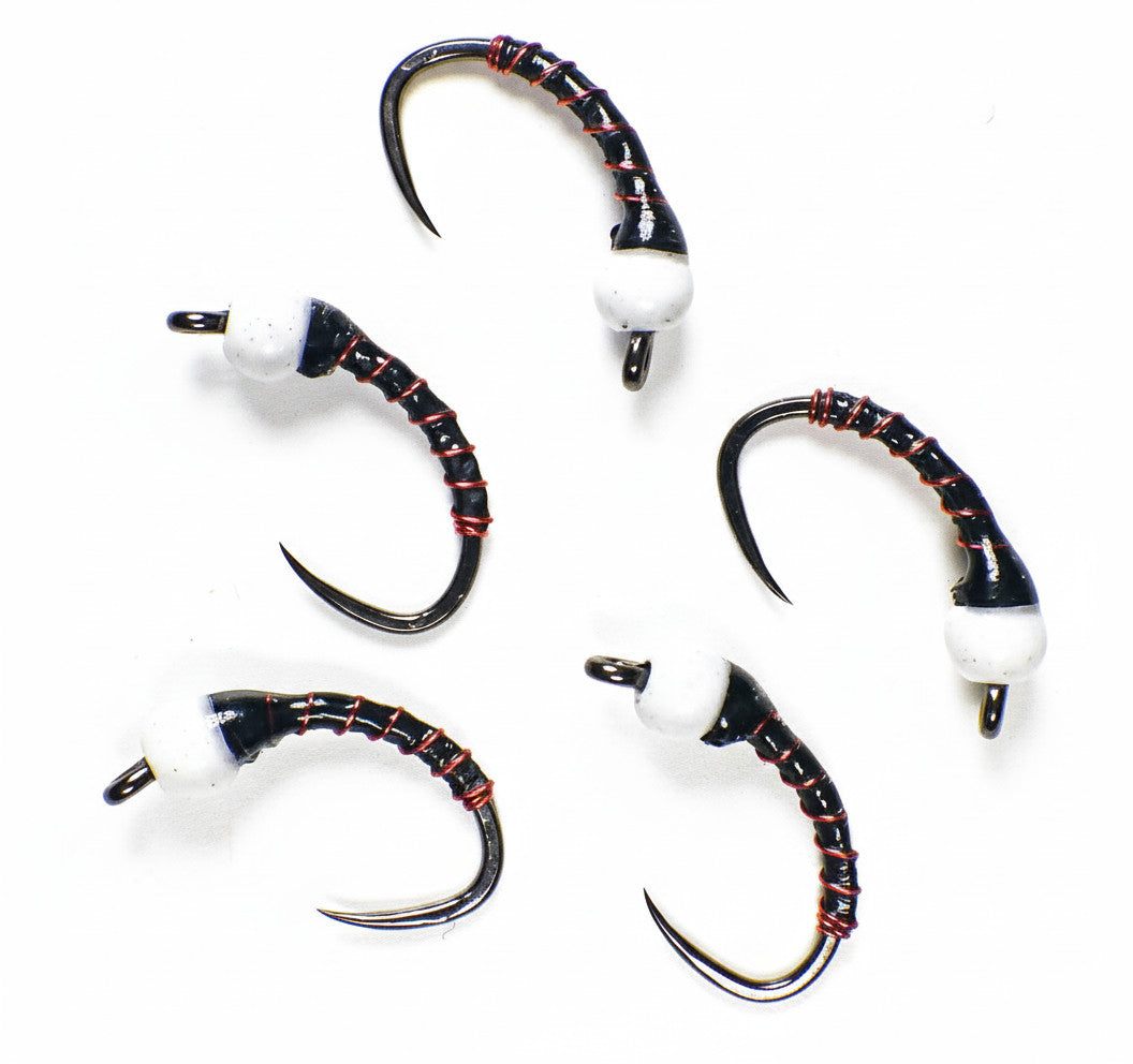 Premium Trout Fly Fishing Flies - Czech Barbless Tungsten Nymphs - Multiple Sizes