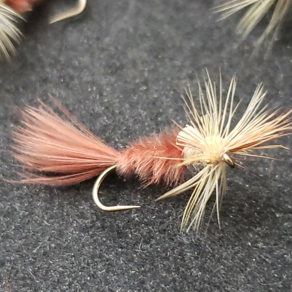 Trout Dry Fly Size 20 Cripple PMD Pale Morning Dun Fishing Flies - Frontier Fly Co