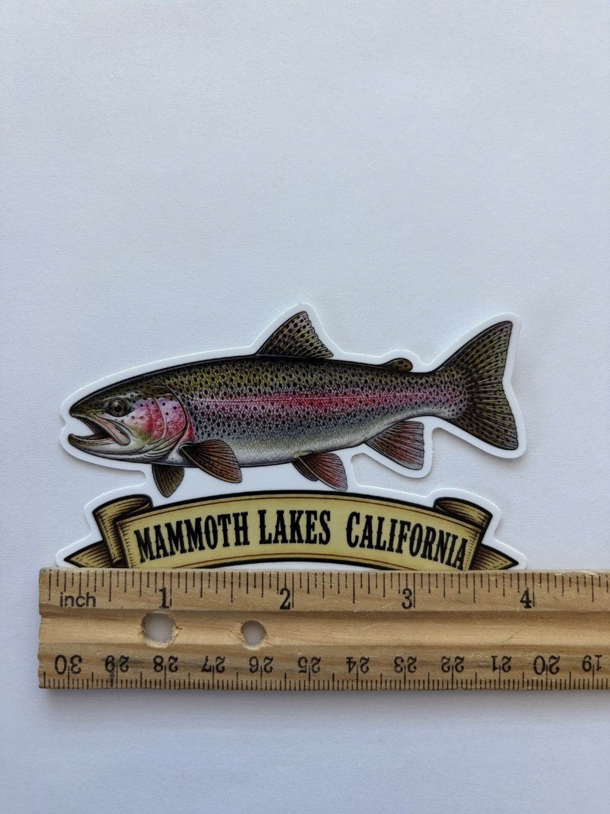 Rainbow Trout Sticker - Mammoth Lakes California Vinyl Decal for Outdoors & Travel