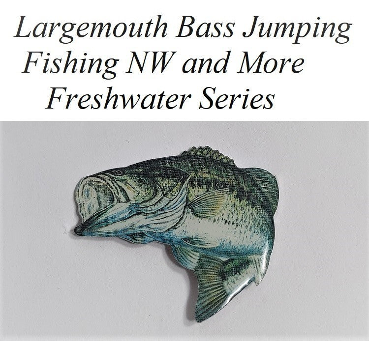 Walleye Fish Pin - Outdoor Enthusiast Lapel or Hat Badge