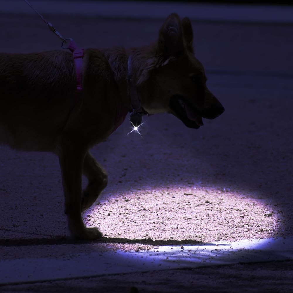 Mini LED Keychain Flashlight Pack of 6 - Portable Bright Emergency Light