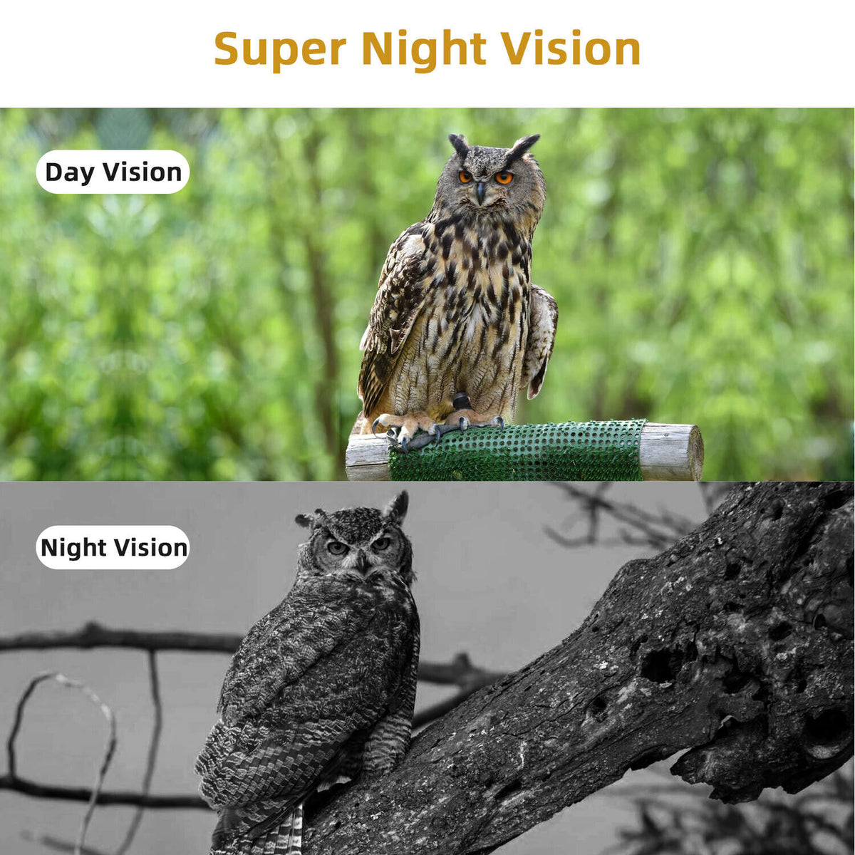 4K 50MP Trail Camera with Night Vision Waterproof Wildlife Hunting Camera