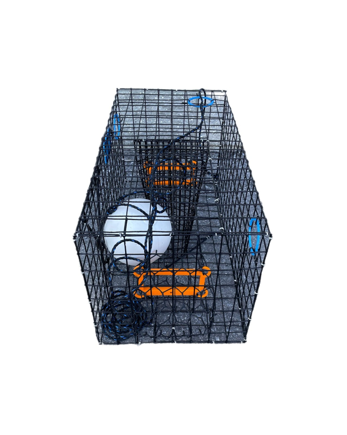 Maryland Crab Trap with Escape Rings - Blue Crab Fishing Pot