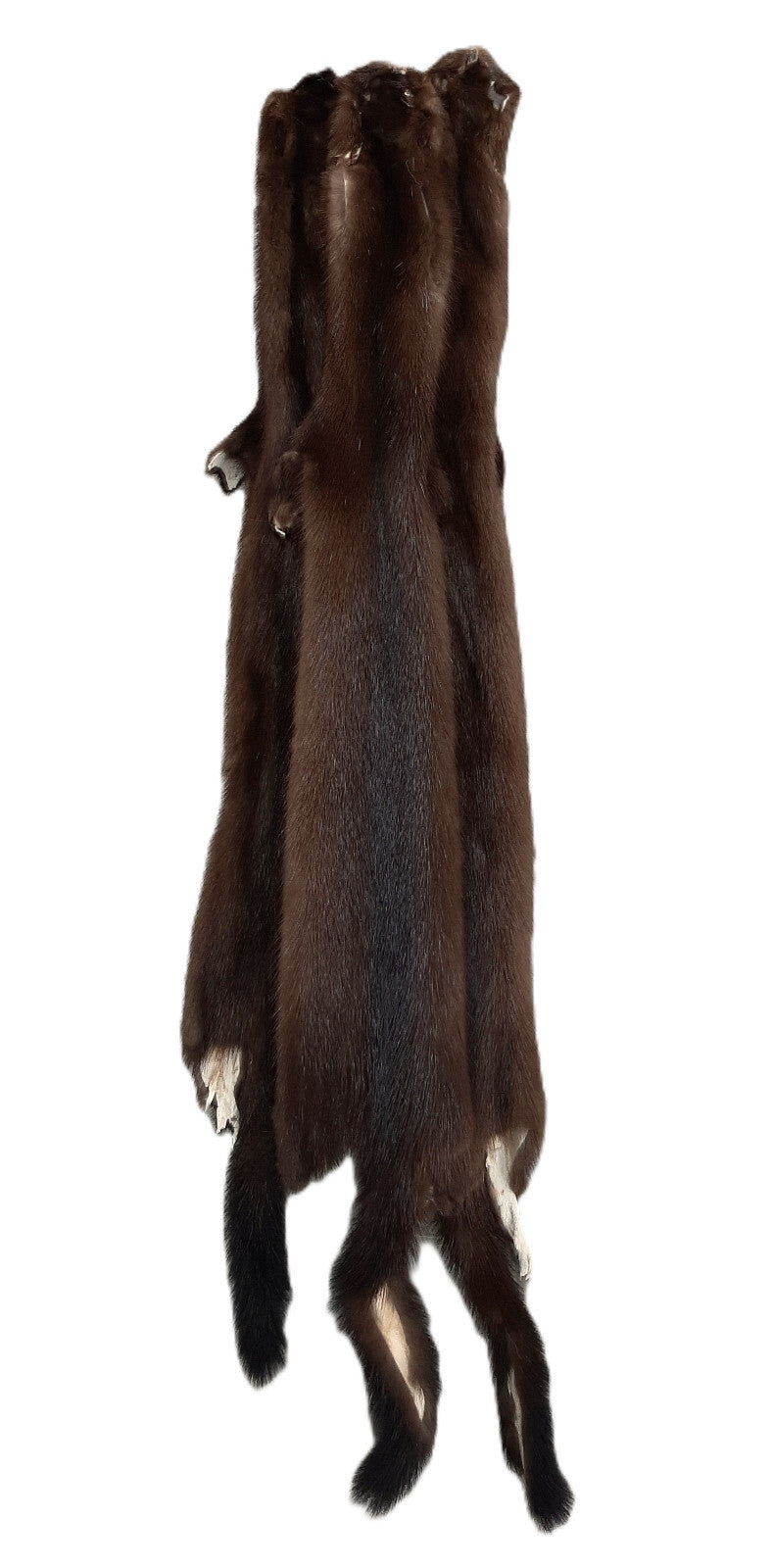 Female Wild Mink Pelt - Soft, Tanned Fur with Multiple Grade Options