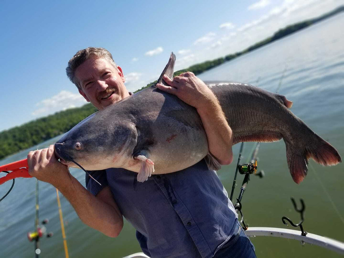 7'6" Catfish Casting Rod - Medium Heavy Fishing Pole for Striper & Flathead