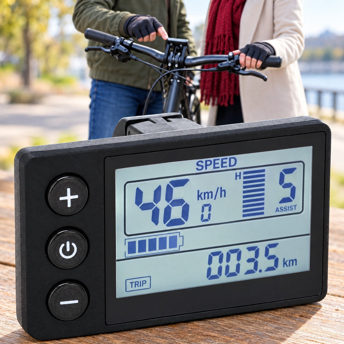 Electric Bike LCD Display 24V 36V 48V Waterproof Segment Screen for MTB & E-Bike