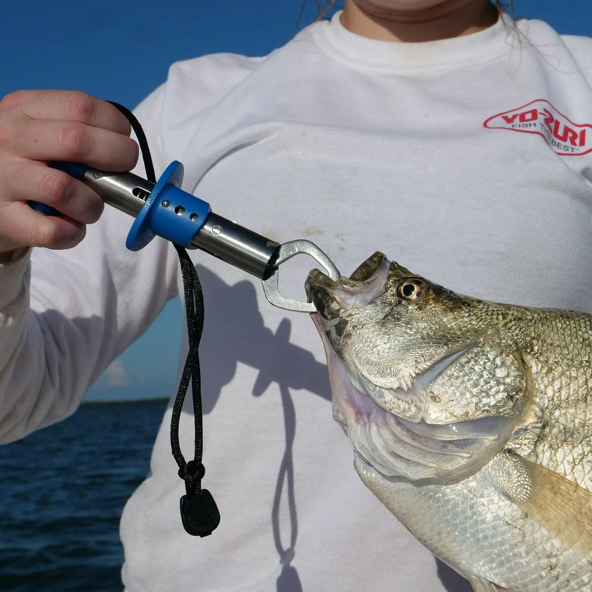 6 Inch Fish Lip Gripper Stainless Steel Non-Slip Handle for Freshwater Fish