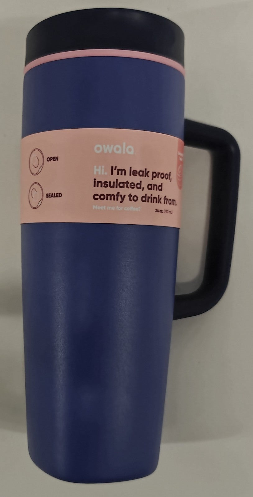 Insulated Water Bottle 24oz with Handle - Violet Hydration Flask