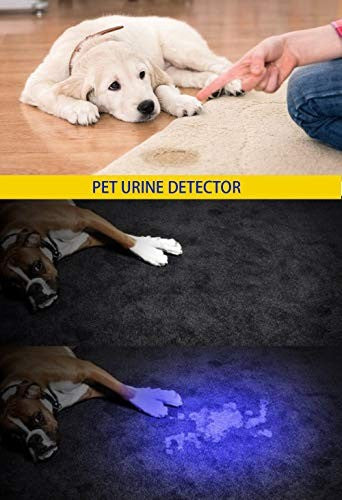 UV Blacklight 365nm & 395nm Handheld Flashlight for Stain Detection & Security