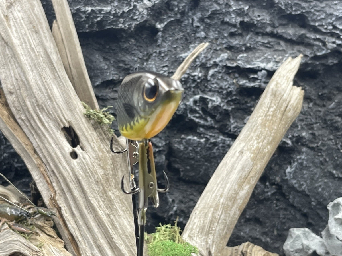 Custom 4.72 Inch Largemouth Bass Glidebait - Soggy Bottom Boy Style