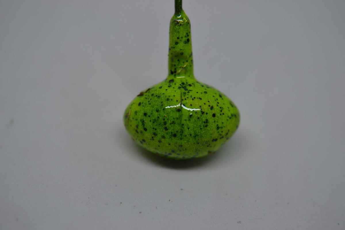 Powder Paint 3oz Jar for Jig Heads and Lures - Multiple Colors
