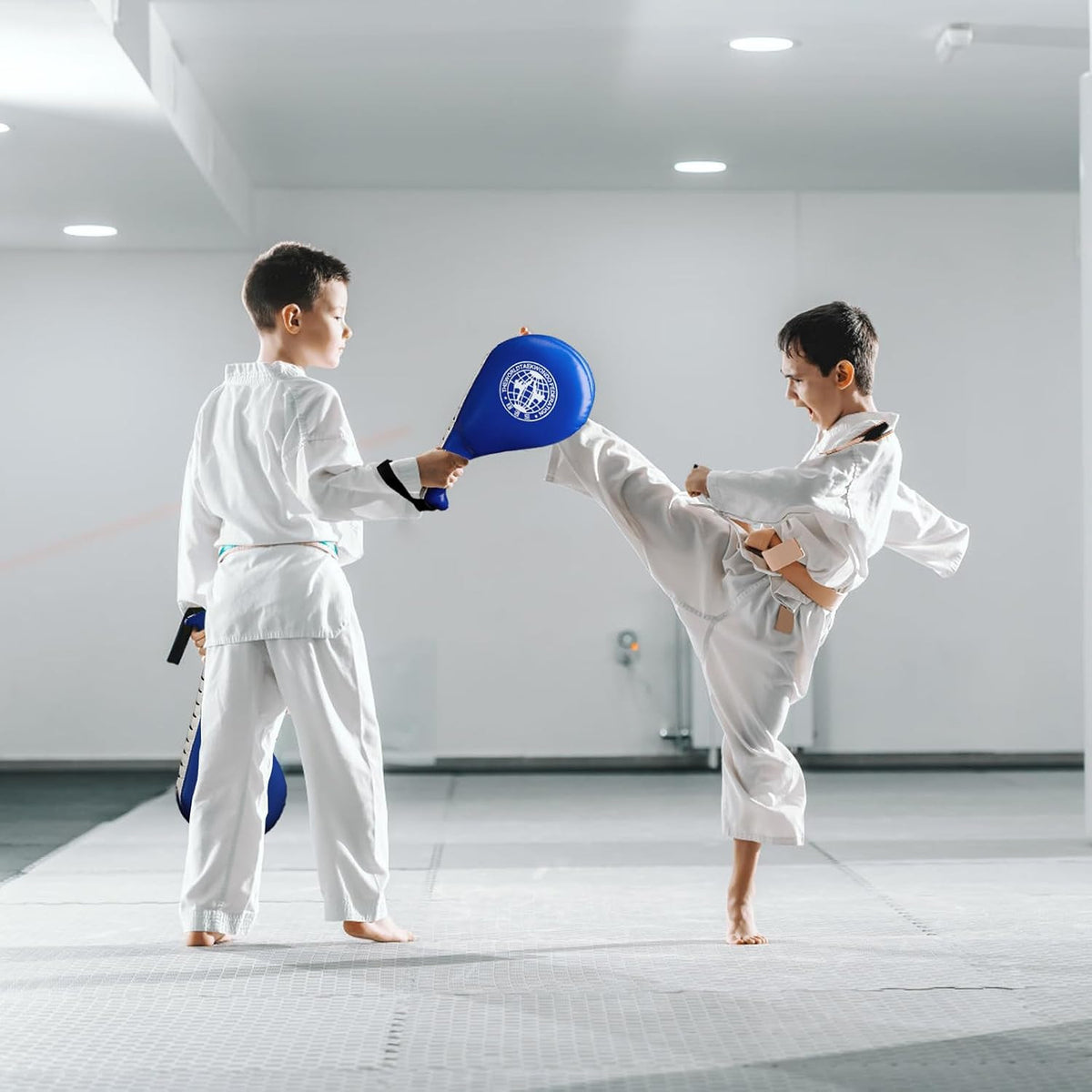 2 Pack Taekwondo Kick Pads - Durable Martial Arts Striking Target Gear