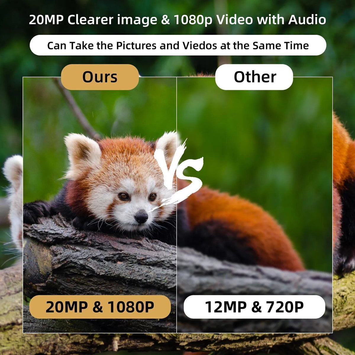 Mini Waterproof Trail Camera 24MP 1080P Night Vision with 32GB Card