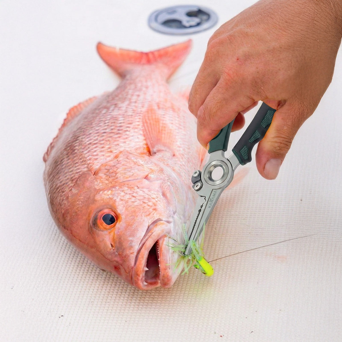 Stainless Steel Saltwater Fishing Pliers 7.5 Inch with Split Ring & Line Cutters