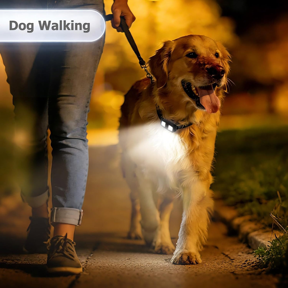 Rechargeable LED Safety Clip-On Running Lights 2 Pack for Night Running