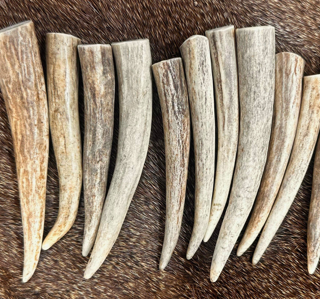 Premium Deer Antler Crafting Tips - A Grade, Multiple Sizes