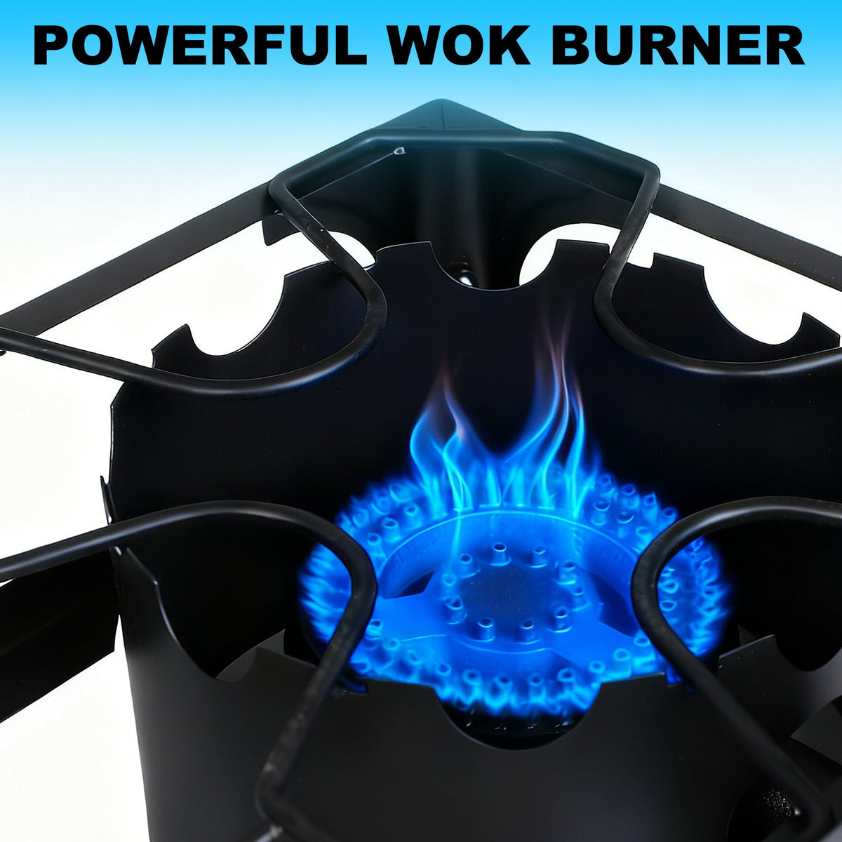 Portable 2-Burner Gas Stove with 150,000-BTU Outdoor Camping Grill