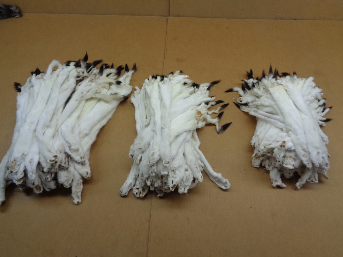 Tanned Ermine Fur with Full Tail for Crafting Wall Decor & Stocking Stuffers
