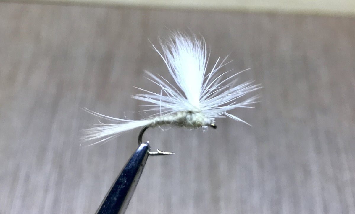 12 Parachute Light Cahill Winged Olive Size 14 - Blue Winged Olive Nymphs
