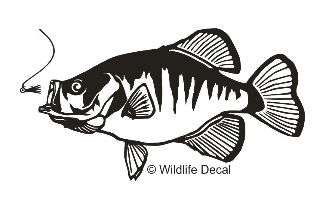 Fishing Decal for Vehicles & Watercraft - Crappie Jig Graphics 4-10 Inch