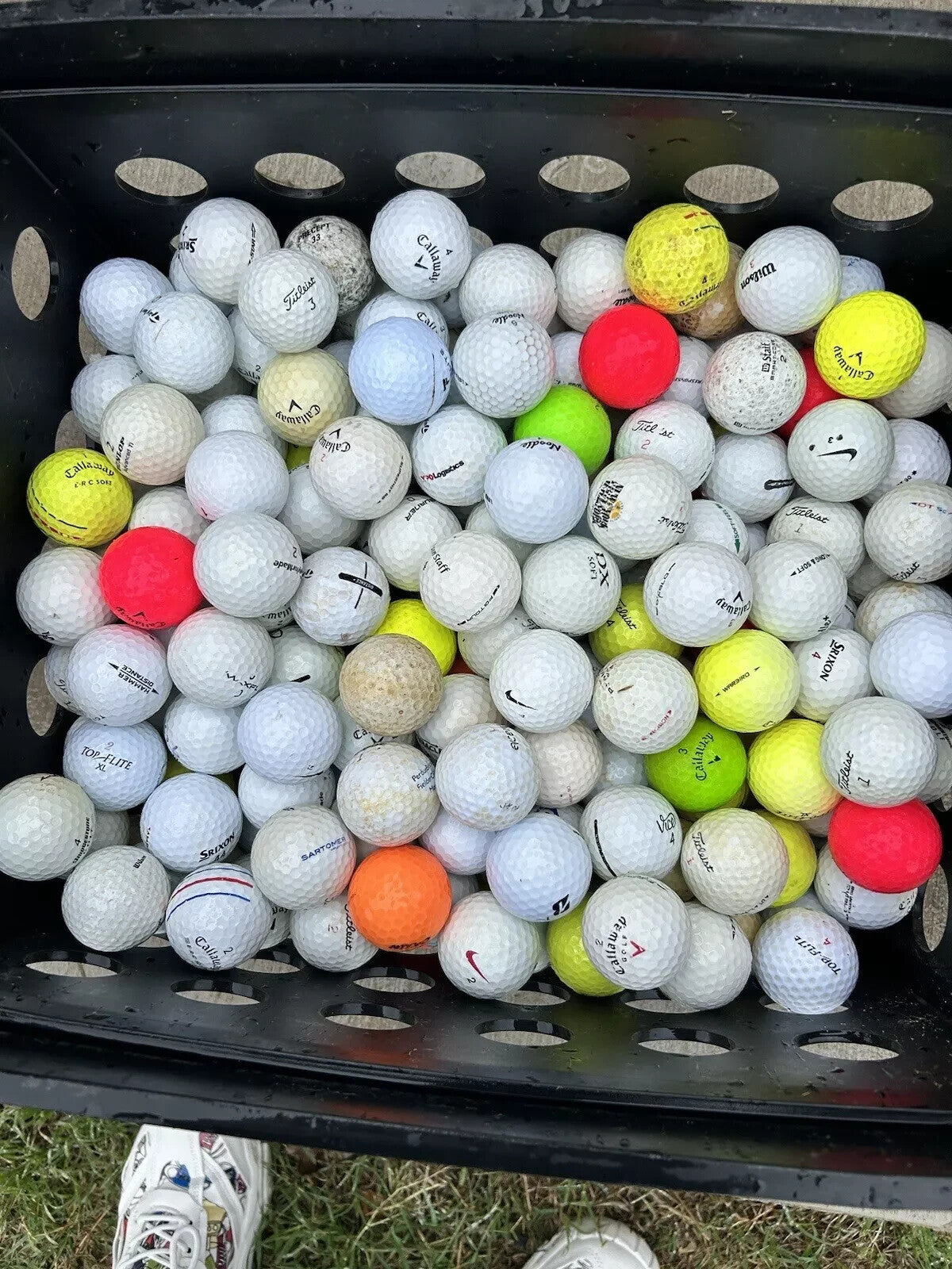 Wilson Staff Model 2026 Golf Balls - Choose Color & Quantity