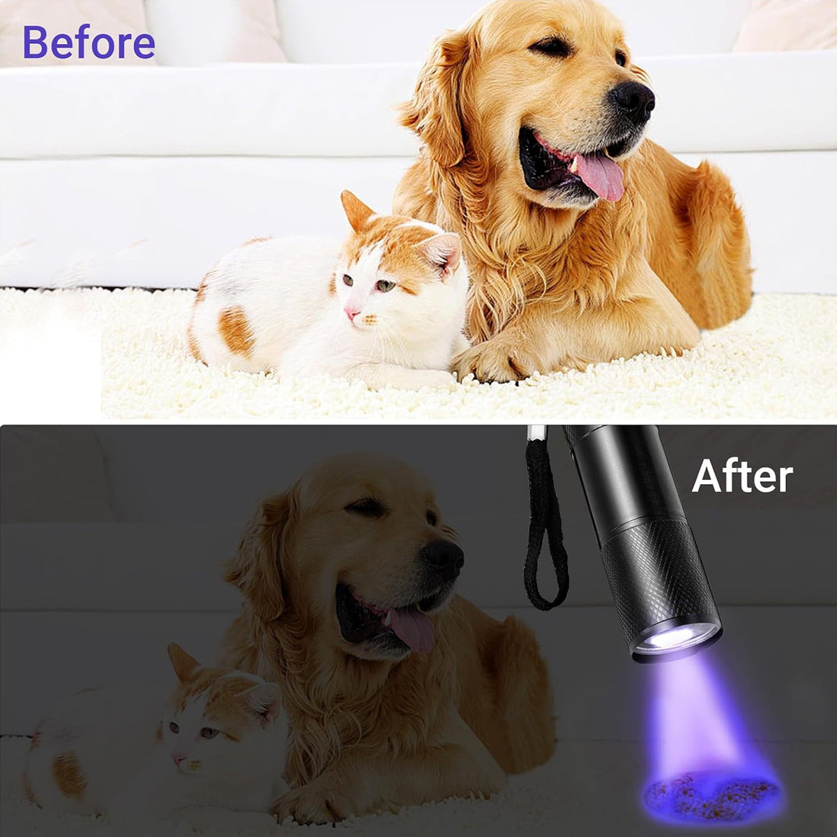 UV Flashlight Penlight Waterproof Pocket Torch for Stain Detection