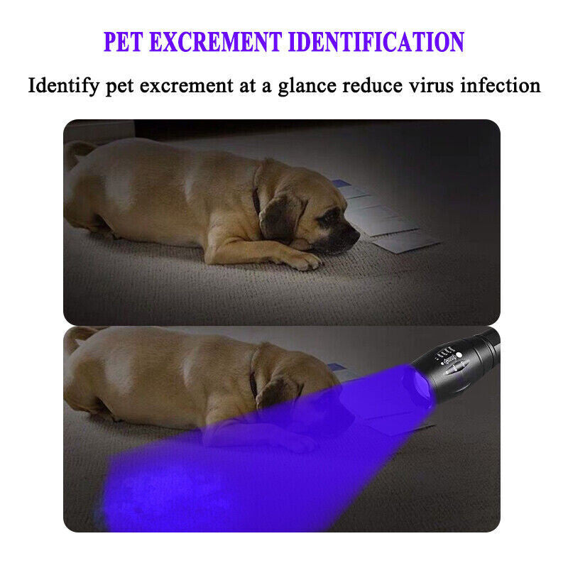 LED UV Flashlight 120000lm Waterproof Military-Grade Torch with White & UV Light