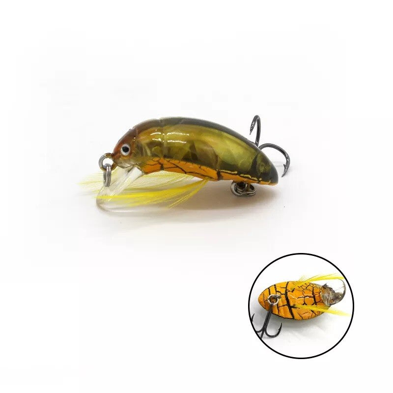 Floating Beetle Bug Fishing Lures Set - 6 Color Options, Water Surface Bait