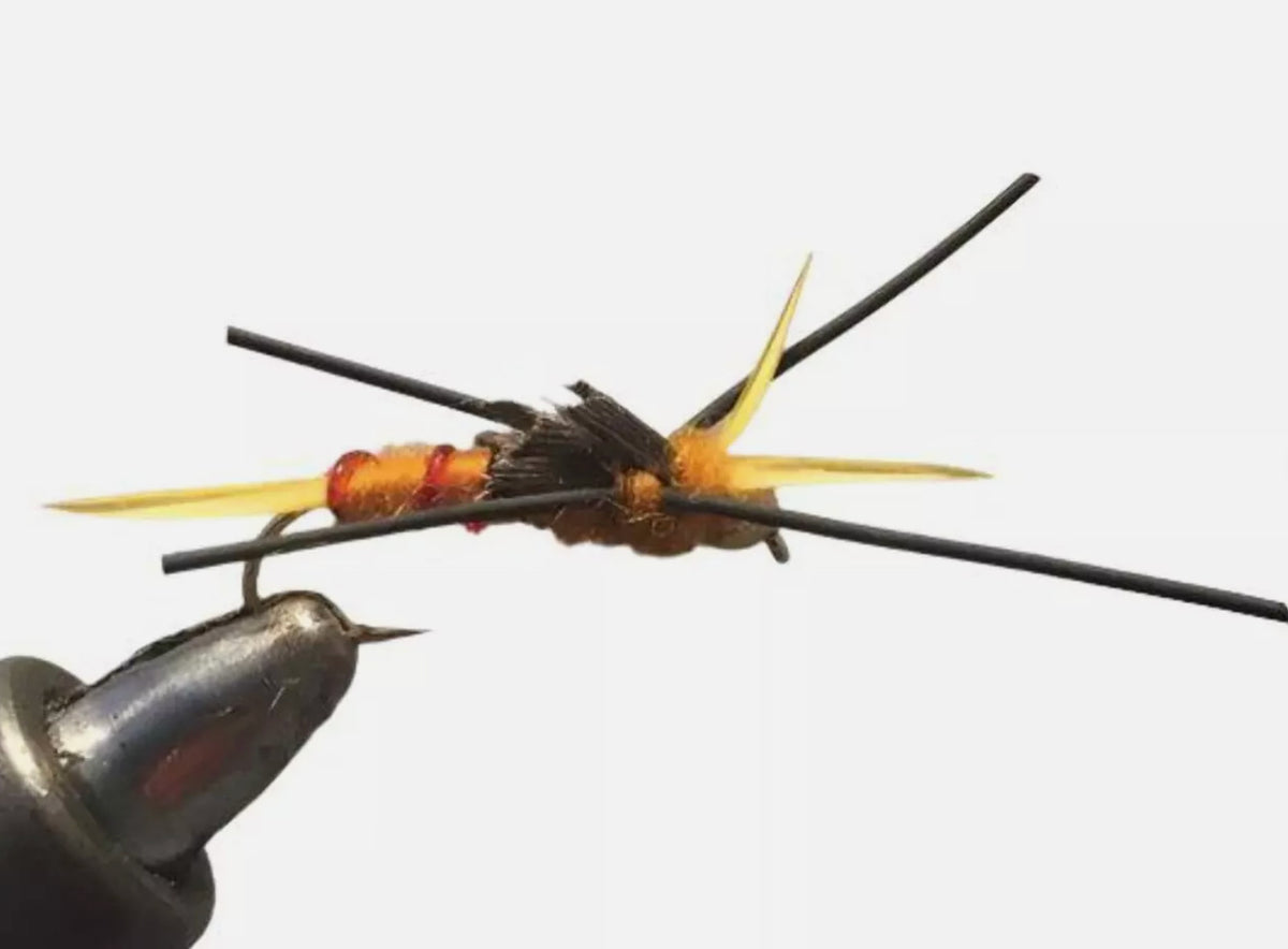 Fly Fishing Nymph Assortment - 18 High-Quality Stonefly Flies for Trout