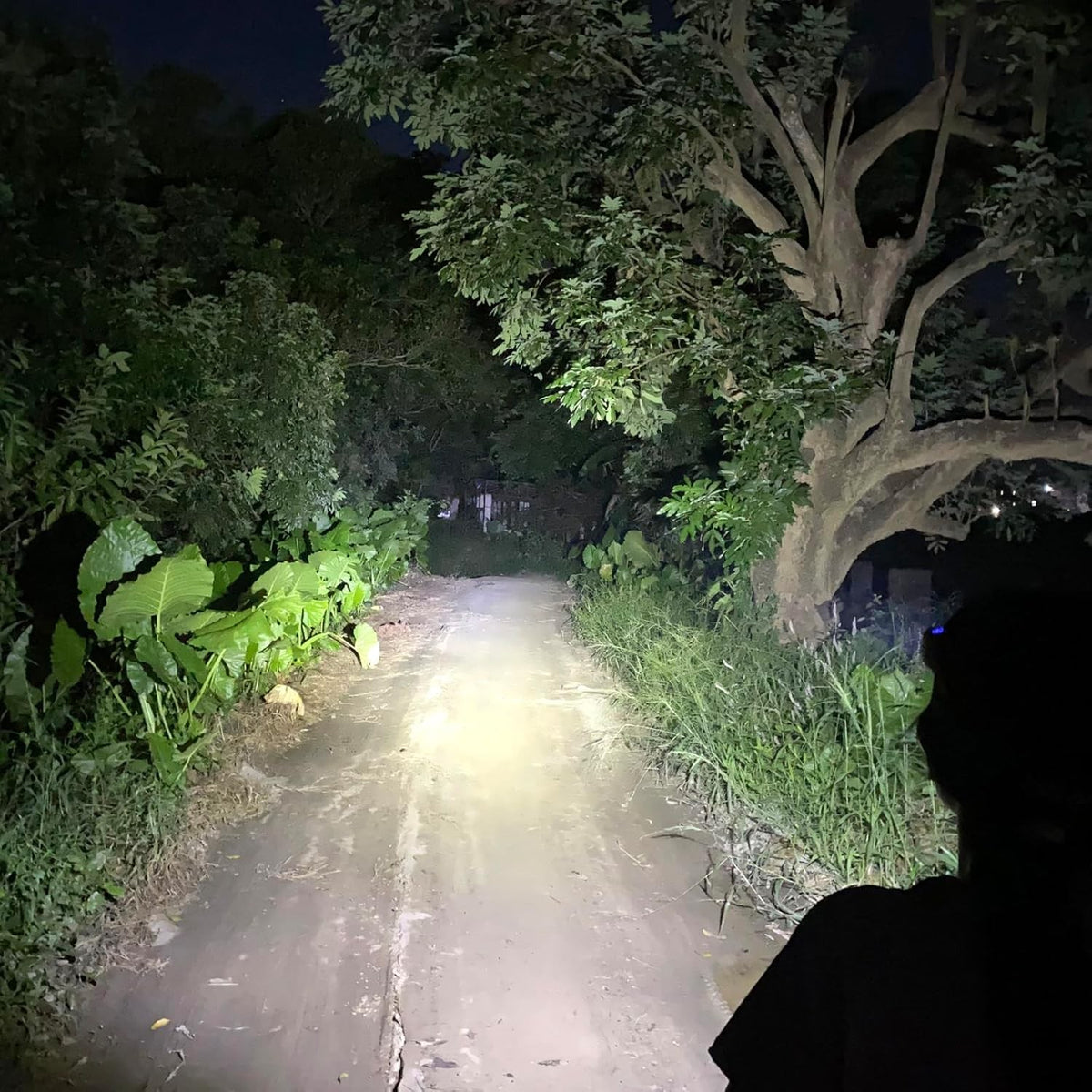 Rechargeable Motion Sensor Headlamp with 5 Lighting Modes, USB-C Head Torch